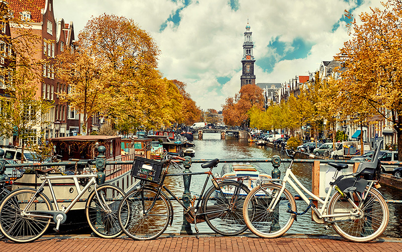 近半留學生留下就業！歐洲門戶「荷蘭」為何能年吸萬人？